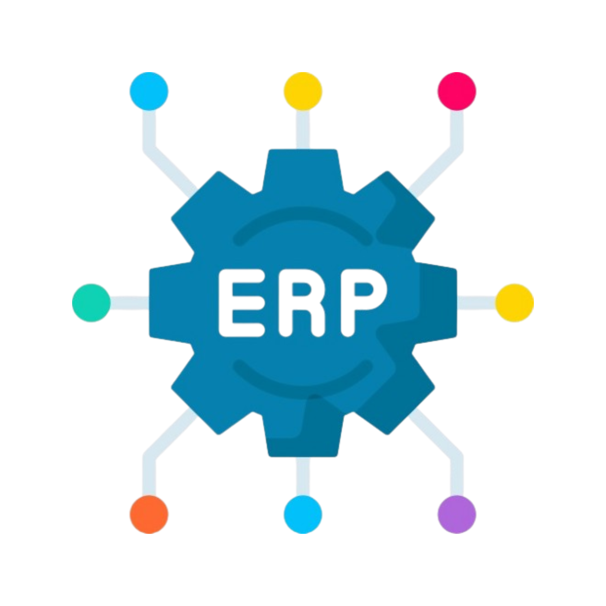 ERP preview